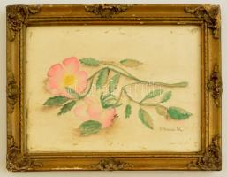 Benczúr jelzéssel: Virág. Akvarell, papír, foltos, üvegezett keretben, 23×17 cm