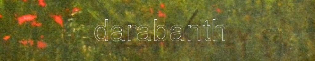 Zorkóczy jelzéssel: Magányos házikó. Vegyes technika, papír, üvegezett keretben, 40×50 cm