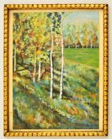Irányi jelzéssel: Erdő részlet. Akvarell, papír, üvegezett keretben, 33×25 cm