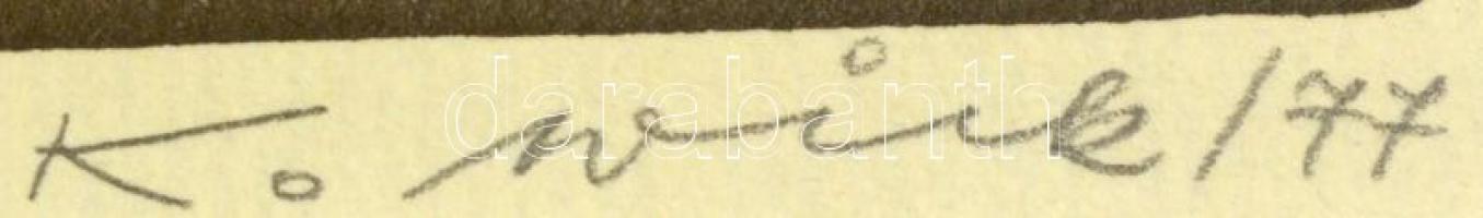 Olvashatatlan jelzéssel: Ház. Lino, papír, üvegezett keretben, 23×30 cm