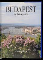 Dercsényi Balázs: Budapest és környéke, Bp., 2004. Merhavia Kiadó,