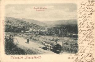 Borszék, Borsec; Árkoza-tető (Hazanéző-tető). Bogdánffy István kiadása / Arcoza mountain peak (EK)