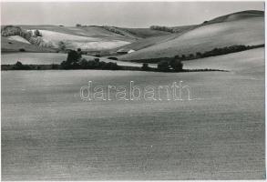 cca 1970 Őszi tájak, Zsigri Oszkár (1933-?) budapesti fotóművész hagyatékából 2 db vintage fénykép, ...