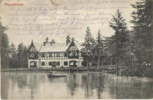 Thurzófüred, Kupele Turzo; Villa Tatra. Feitzinger Ede No. 734. / villa (EK)