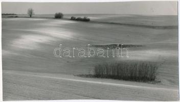 cca 1972 Zsigri Oszkár (1933-?) budapesti fotóművész hagyatékából 3 db vintage fénykép, az egyik fel...