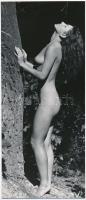 cca 1979 Jelzés nélküli fotóművészeti alkotások, 2 db vintage fotó, 26,5x11,5 cm és 18,5x28,5 cm / 2 erotic photos