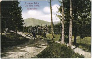 Tátra, Matlárháza, Tatranské Matliare; sétány, nyaraló / promenade, villa (EK)