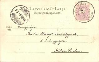 1899 Tátrafüred, Bad Alt-Schmecks, Novy Smokovec; nyaralók / villas. Kunstanstalt Kosmos. Art Nouvea...
