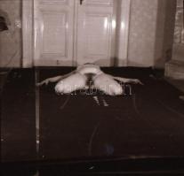 cca 1972 Erotikus és pornográf fotónegatívok, 47 felvétel 4 tekercsen, 5,5x5,5 cm