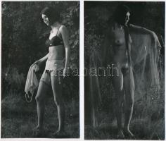 cca 1969 Napsütésben, félárnyékban, 7 db szolidan erotikus vintage fénykép, 18x13 cm és 17x10 cm között / 7 erotic photos