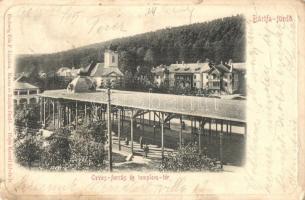 Bártfa, Bardejov, Bardiov - 3 db régi városképes lap / 3 pre-1945 town-view postcards