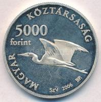 2006. 5000Ft Ag "Fertő kultúrtáj" T:2(PP) 
Adamo EM203