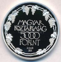 2008. 5000Ft Ag "Tokaji Történelmi Borvidék" T:PP 
Adamo EM219