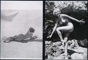 cca 1960 Aktfotózás művészete, szolidan erotikus fényképek, 5 db mai nagyítás, 18x13 cm