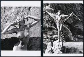 cca 1960 Aktfotózás művészete, szolidan erotikus fényképek, 5 db mai nagyítás, 18x13 cm