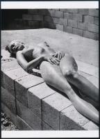 cca 1960 Aktfotózás művészete, szolidan erotikus fényképek, 5 db mai nagyítás, 18x13 cm