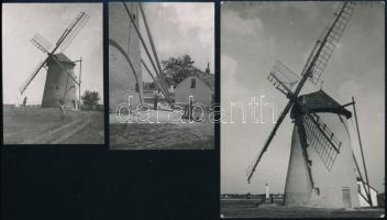 1936 Kiskunfélegyháza határában levő szélmalom, 3 db vintage fotó Kerny István (1879-1963) budapesti fotóművész hagyatékából, kettő feliratozva, 7,4x5,3 cm és 11,5x8,5 cm között