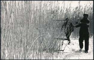 cca 1975 Nádasoknak rejtekén, 3 db vintage fotó + 1 db mai nagyítás, 24x18 cm