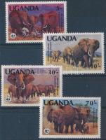 WWF: Afrikai elefánt sor, WWF: African elephant set