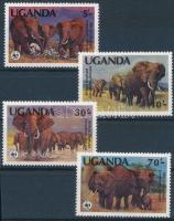 WWF African elephant set, WWF: Afrikai elefánt sor