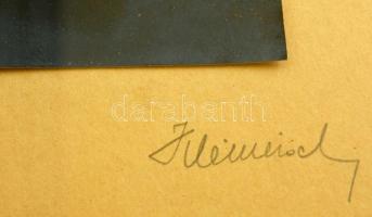 1930 Kleineisel Miklós: Jegenyék a szélben. Vintage fotó, jelzett, üvegezett keretben. 30x41 cm