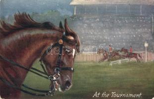 8 db régi ló motívumlap, lovas képeslap / 8 pre-1945 horse motive cards