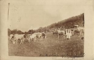 35 db főleg régi magyar városképes lap / 35 mostly pre-1945 Hungarian town-view postcards