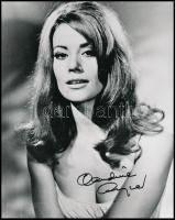 Claudine Auger (1941-) francia színésznő aláírt fotója / Autograph signature on photo 20x25 cm