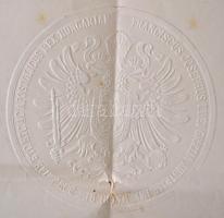 1909 Díszes tartalékos kadéti kinevezés, aláírásokkal, pecséttel, száraz pecséttel, kis szakadással