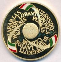 Rónay Attila (1971-) 2003. "Magyarország-Anglia 6:3 50. évforduló" aranyozott Ag emlékérem...