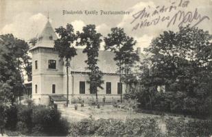 Pusztaszentimre (Soltszentimre); Blaskovich kastély (EK)