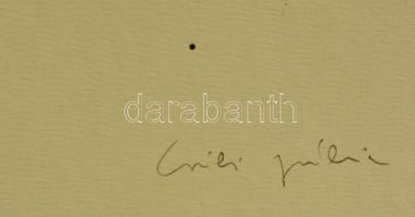 Csili Júlia (?-): Küzdelem. Szitanyomat, papír, jelzett, 40×37 cm