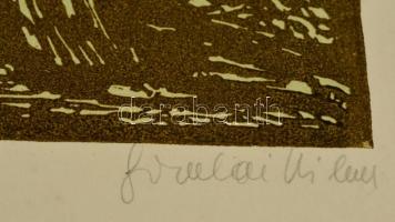 Somlai Vilma (1938-2007): Török fürdő Budán. Színes linó, papír, jelzett, 30×37 cm