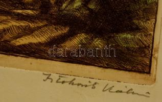 Istókovits Kálmán (1898-1990): Balaton. Színezett rézkarc, papír, jelzett, 29×48 cm