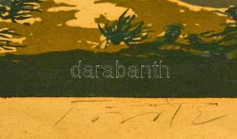 Török Endre (1926-1980): Pilis. Színes linó, papír, jelzett, 28×39 cm