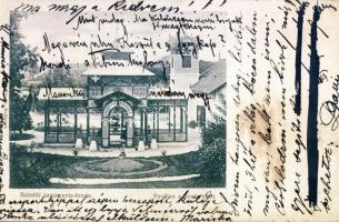 Hont Szántó sour-water fountain (EK)