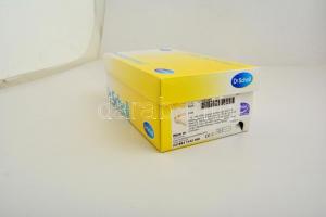 cca 1860-1900 Vegyes keményhátú fotó tétel, többségében férfi portrékkal, kb. 60 db, közte két Klösz...