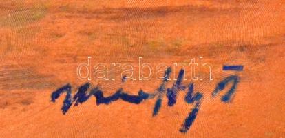 Márffy jelzéssel: Lila fenyves, olaj, farost, keretben, 48×71 cm