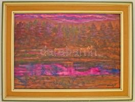 Márffy jelzéssel: Lila fenyves, olaj, farost, keretben, 48×71 cm