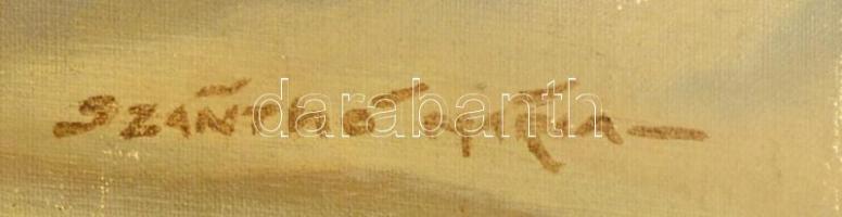 Szántó jelzéssel: Fekvő akt, olaj, vászon, 70×120 cm