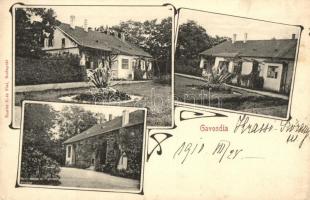 Gavosdia, Gavojdia; Körjegyző lak. Kanitz C. és Fiai kiadása / notary's villa. floral Art Nouveau (EK)