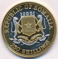 Szomália 1998. 250Sh sárgaréz-Cu-Ni bimetál "Jávorantilop" multicolor T:1-
Somalia 1998. ...