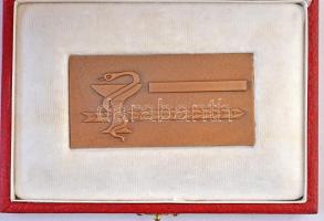 1977. "Máv. Kórház és Központi Rendelőintézet 1927-1977, Budapest" Br emlékplakett eredeti...