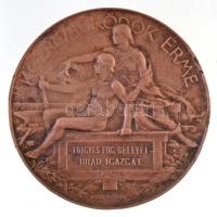 Beck Ötvös Fülöp (1873-1945) 1896. "1896-iki Ezredéves Országos Kiállítás / Közreműködők Érme&q...