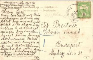 Gölnicbánya, Gelnica, Bergstadt Gölnitz; Thurzó várromok. Feitzinger Ede No. 729/II. b. 1908 (fl)