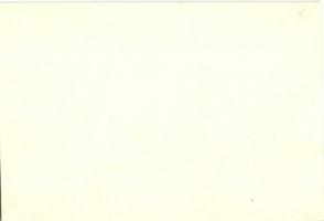 Kézzel rajzolt lap törpével / Hand-drawn card with dwarf and beanstalk (non PC)