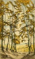 Szőnyi István (1894-1960): Sudár fák. Színezett rézkarc, papír, jelzett, üvegezett keretben, 26,5×15,5 cm