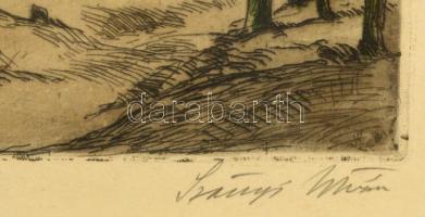 Szőnyi István (1894-1960): Sudár fák. Színezett rézkarc, papír, jelzett, üvegezett keretben, 26,5×15...