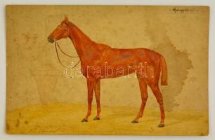 XIX.sz vége: Heinrich Schnaebeli: Gyöngyvirág ló. Kézzel kifestett fotó, karton. Jelzett. 21x14 cm Foltos.