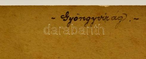 XIX.sz vége: Heinrich Schnaebeli: Gyöngyvirág ló. Kézzel kifestett fotó, karton. Jelzett. 21x14 cm F...